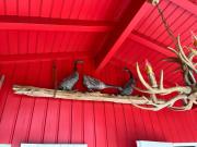 Top Saint-Laurent-des-Hommes