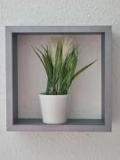 Top Sankt Andreasberg