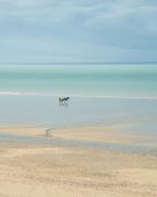 Top Jullouville-les-Pins