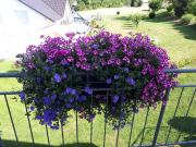 Top Uhldingen-Mühlhofen