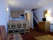 Appartement spacieux à Méribel, accès pistes, animaux admis - FR-1-355-162