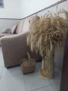 Top Cabeça de Carneiro