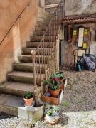 Superbe appartement sur cour arborée