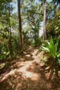 Top Cow Bay