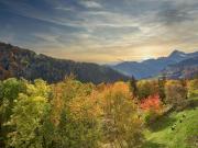 Appartement cosy rénové avec balcon sud - FR-1-505-215