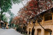 Top Hanoi