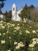 Top Lagoa de Albufeira