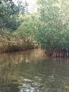 Top Cartagena de Indias