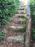 Top Borgo alla Collina