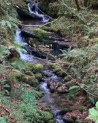 Casa rural Espinareu