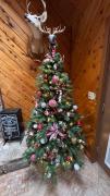 Family Fun Cozy Cabin