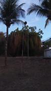 Top Aracaju