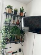 Top Tremblay En France