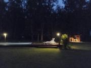 Top Balcarce Top Balcarce