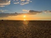 Top Deauville Top Deauville