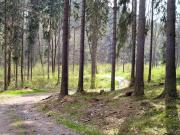 Top Wleń