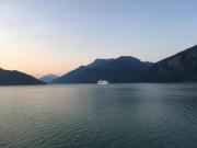 Top Haines