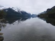 Top Haines