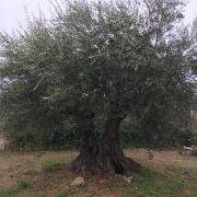 Top La Bouilladisse Top La Bouilladisse