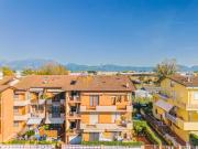 Top Viareggio Top Viareggio