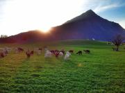 Top Aeschi bei Spiez