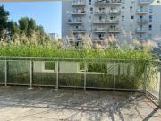 Top Gdańsk Top Gdańsk