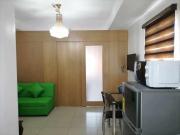 spacious 1 br fully furnished condo