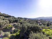 Top Imperia