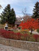 Ξενώνας Το Πατρικό