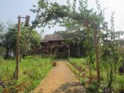 Top Bản Lòng Luong