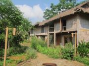 Top Bản Lòng Luong