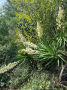 Top Florentin-la-Capelle