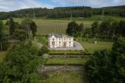 Top Dingwall