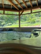 Seneca Cabin - New Updates - Fun Getaway!