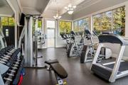 Top Pitt Meadows