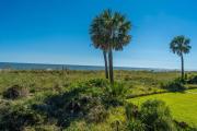 Top Edisto Island