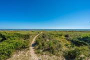 Top Edisto Island