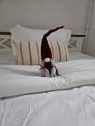 Apartament la casa zona centrala