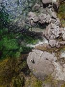 Top Madonna di Campiglio