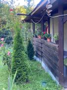Top Sinaia