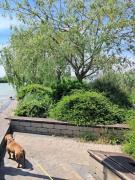 Pilikán Apartments Keszthely - Yacht Port Balaton