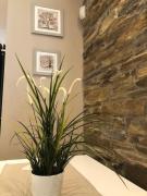 EmmanuEle House Roma Tuscolana