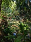 The Twins Pool Villas