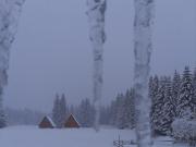 Wooden cottage Podgora