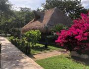 Top Playa del Carmen