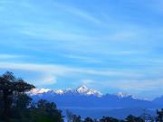 Nishchal Homestay