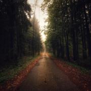 Top Suwałki Top Suwałki