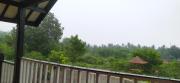 Top Tanjung