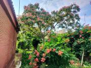 Top Utrera