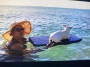 Top Ko Chang